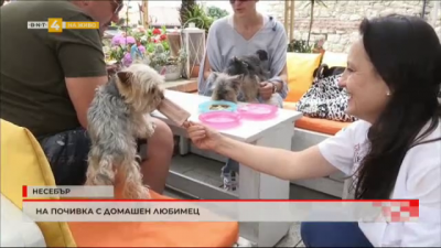 На почивка с домашен любимец
