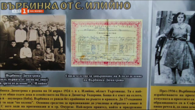Историята на Върбинка, изпратена от Бог