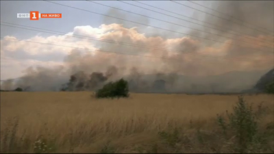Голям пожар гори в Карловско 